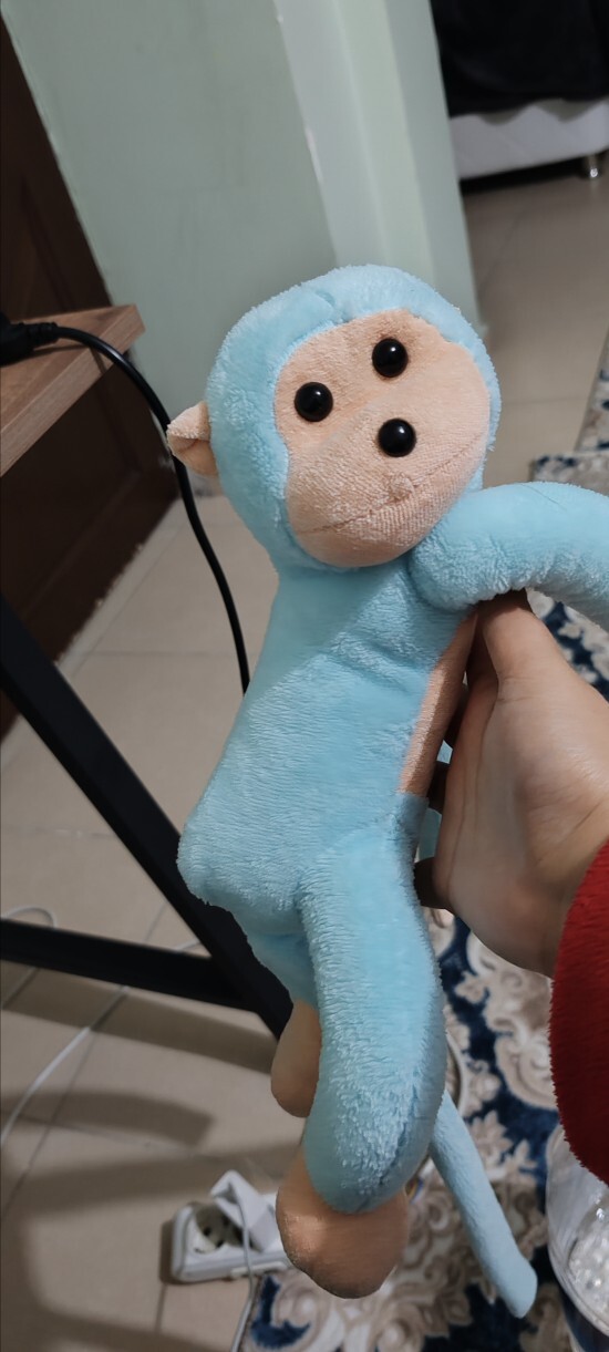 Peluş oyuncağınız var mı?