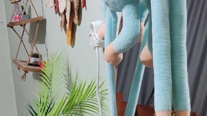 Peluş oyuncağınız var mı?
