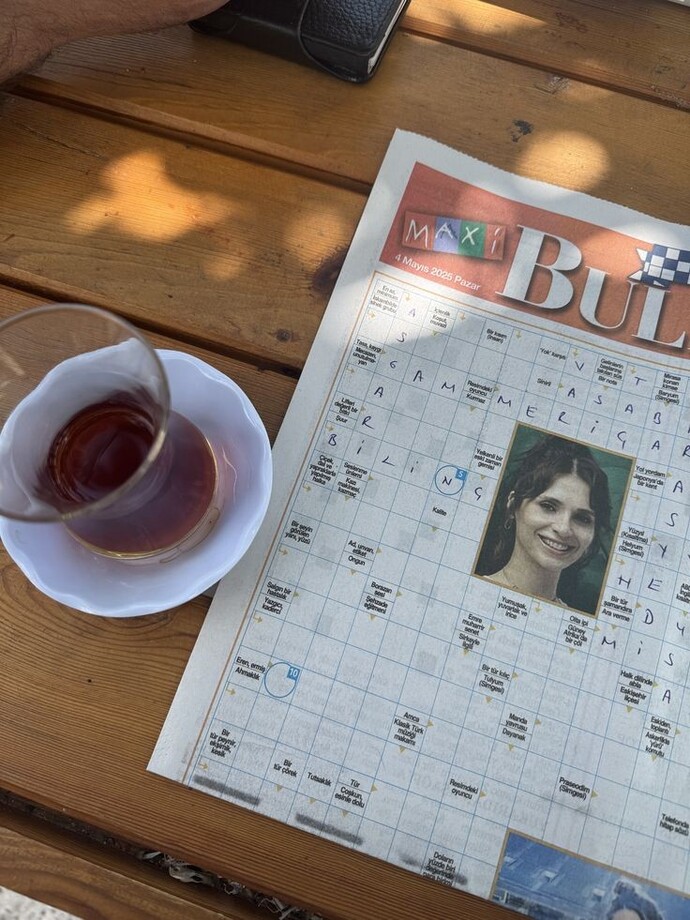 Bulmaca sever misiniz, seviyorsanız hangisi?