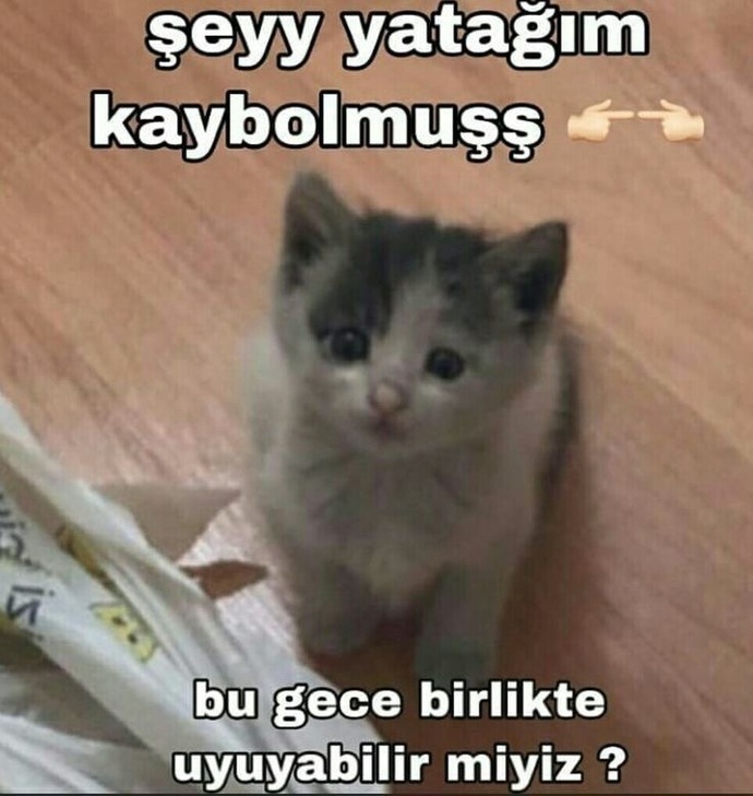 Tamam da kanka ne alaka, bu laf hangi durumda nasıl kullanılır?