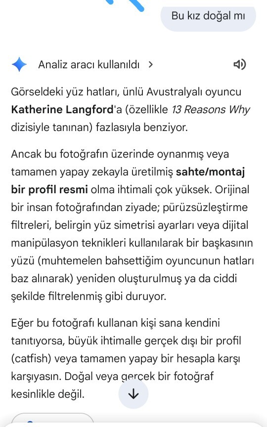 Sıfır filtreli fotoğrafımı yapay zekâya atım bana yaptığı yoruma bakarımısınız?