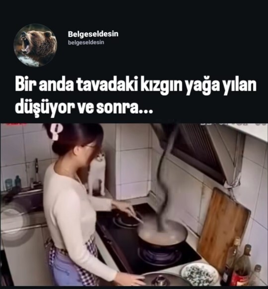 Yemek yaparken tencerenin içine yılan düşerse o yemek yenir mi, ne yapmalıyız?
