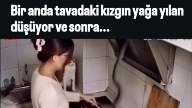 Yemek yaparken tencerenin içine yılan düşerse o yemek yenir mi, ne yapmalıyız?