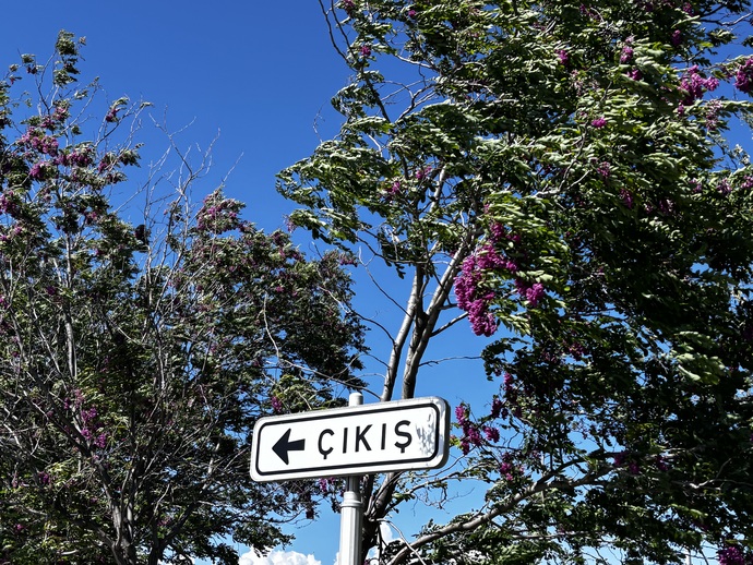 Çıkmasak
