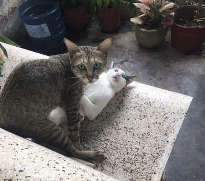 En son hangi konuda yakalandınız?