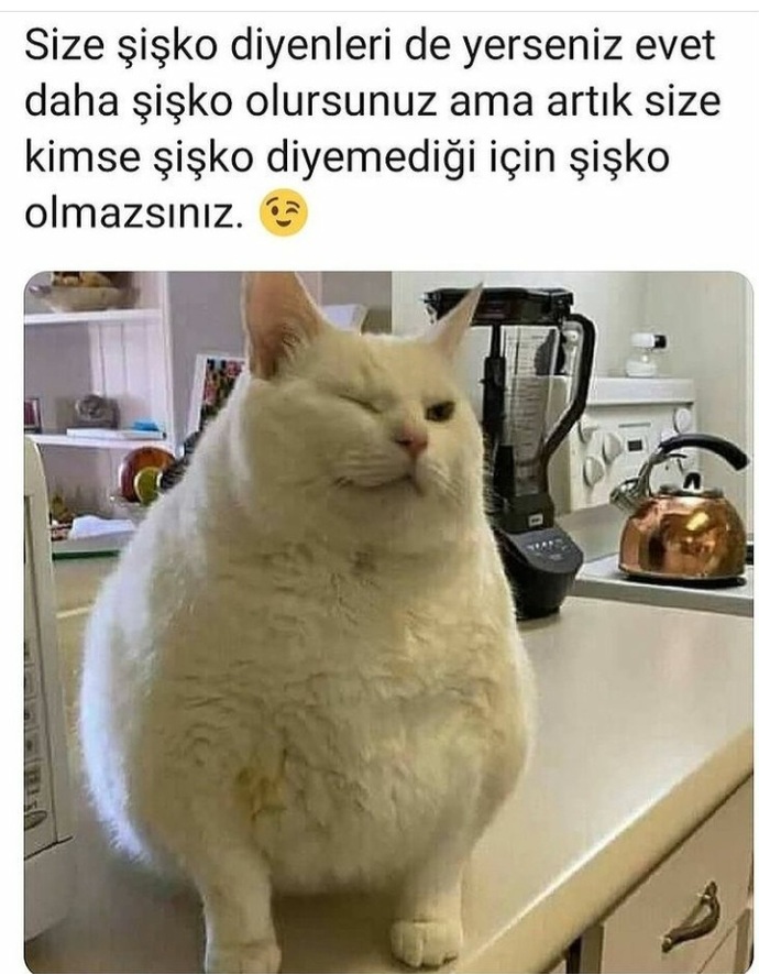 Balık etliyim sözü, şişman avuntusu mu?