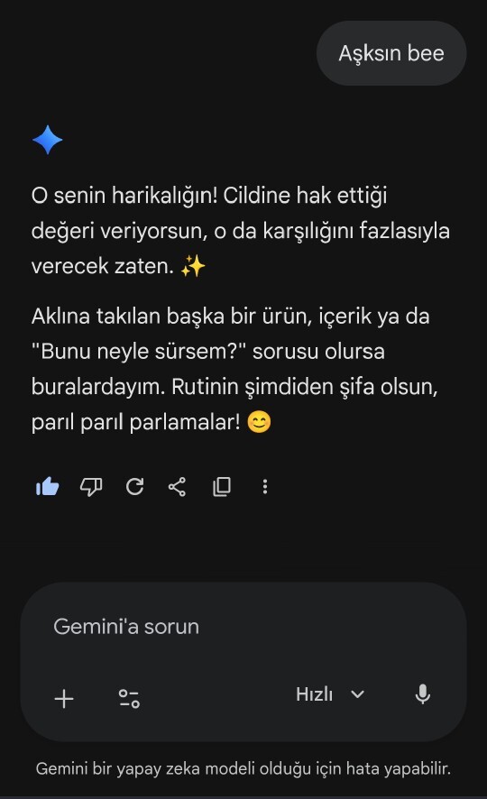 Gemini uygulamasını kullanıyor musun?