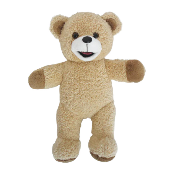 Küçükken peluş ayınız, uyurken yanınızdan ayırmadığınız bir oyuncağınız var mıydı?