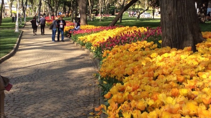 İstanbul’un en güzel parkları neresi sizce?