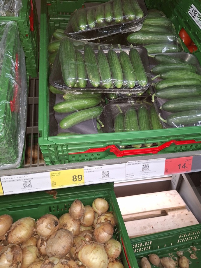 Çiftçiden toplanmış halde 6₺’ye aldıkları salatalık 🥒 markette 90₺ hükümet neyi bekliyor?