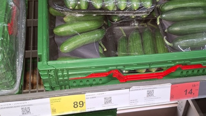 Çiftçiden toplanmış halde 6₺’ye aldıkları salatalık 🥒 markette 90₺ hükümet neyi bekliyor?