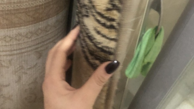 Tırnaklarıyla halı yıkayan kız mı olur😂hem harbiyim hem barbiyim?