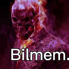 Ne sıklıkla bilgisayar kullanıyorsun?