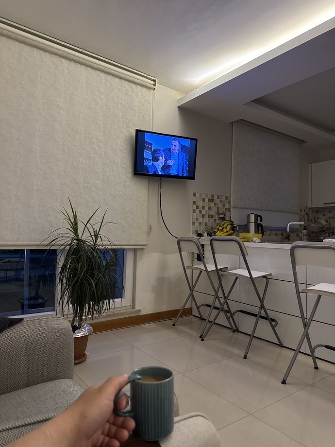 Dizi izlemeyi sever misiniz?