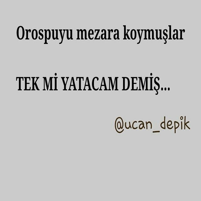 Atasözlerini ne kadar dikkate alıyorsunuz, sizce gerçekten haklılar mı?