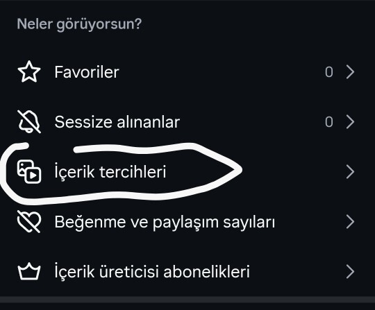İnstagramda ki şipşak özellik nasıl kapanıyor ayarlardan bilen var mı?