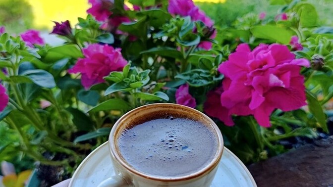 Çaycı mısınız yoksa Türk Kahvecimi?