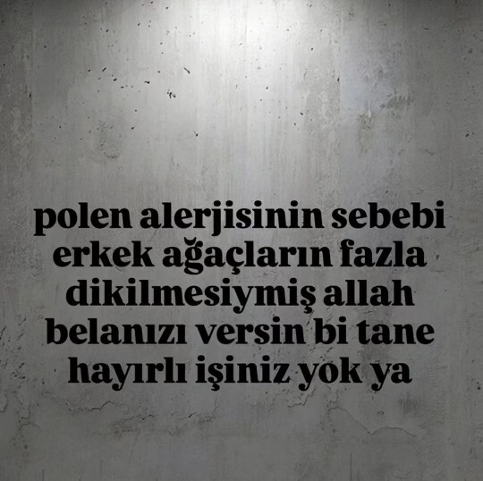 Mizah seviyeniz gerçekte ne kadar yüksek, espri anlayışınız nasıldır?