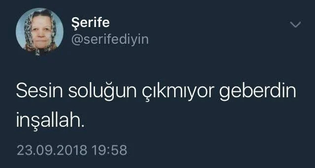 Arkadaşım sürekli sesin çıkmıyor diye mesaj atıyor mal mı?