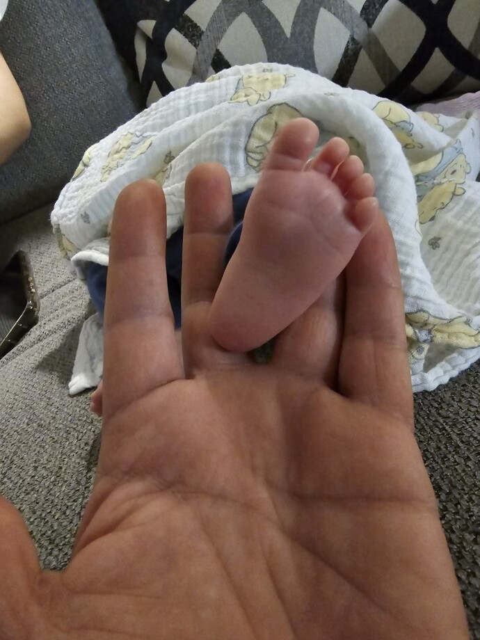 Galerinizdeki son fotoğraf ne?
