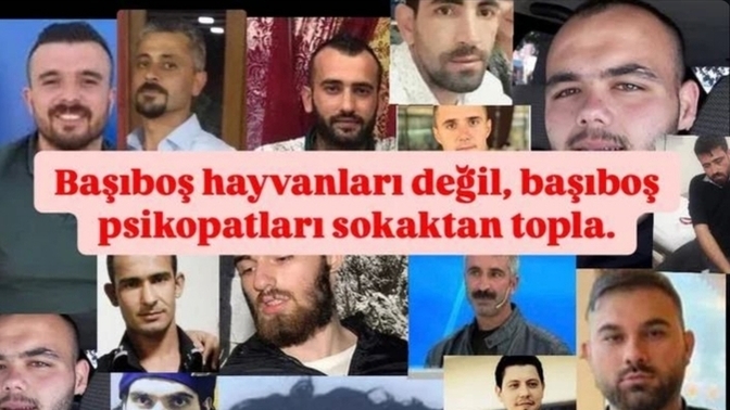 Hiç sevgilisi olmamış erkeklerin şunlardan tam olarak ne eksiği vardı da hiç sevgilisi olmadı?