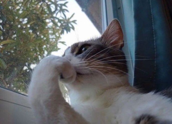Hic takıntılı bir aşığınız oldu mu?