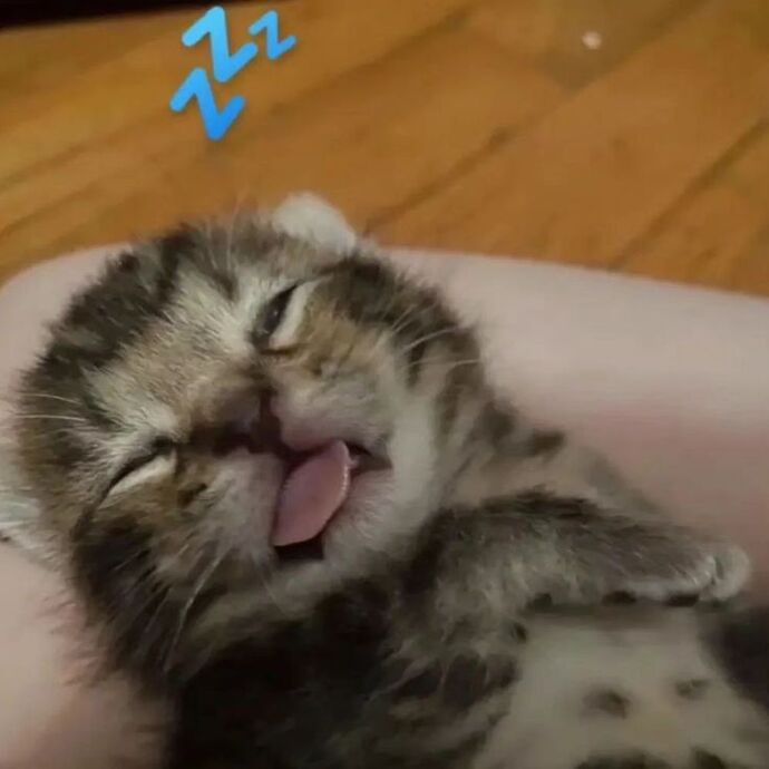Enerjisel sıkıntı yok , ama uyku varr 😅