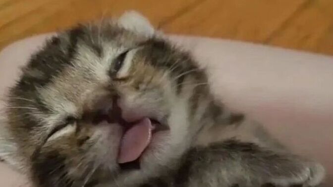 Erken uyusanızda gün içinde uykunuz geliyor mu?