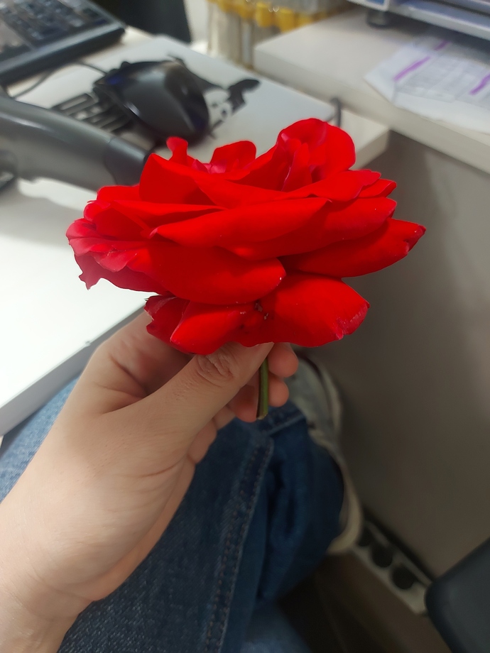 Saçıma takip çalışıcam bugün 😂