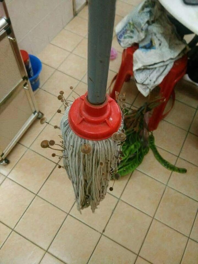 Yazık olmasın