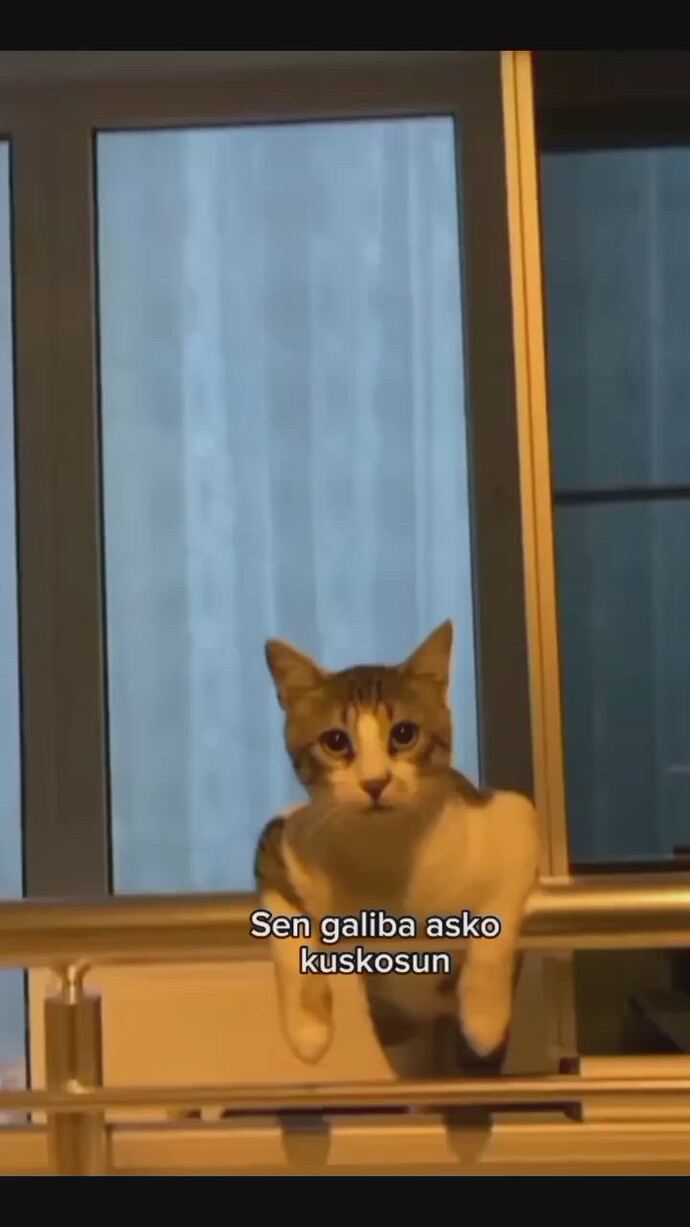 Neden temiz kalpli düzgün karakterterli kızlar sevilmiyor?