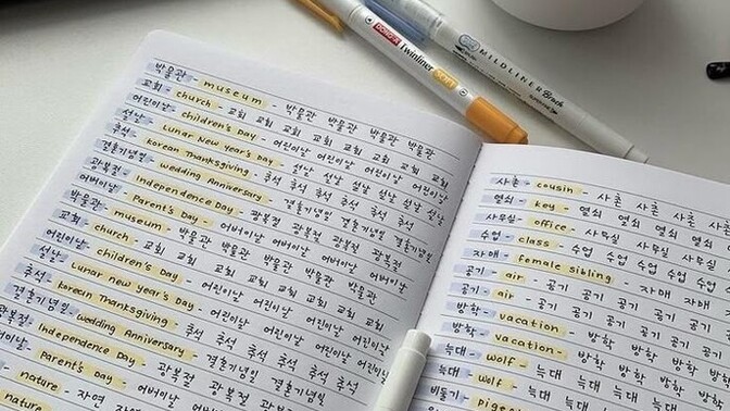 İngilizce dışında bildiğiniz bir dil var mı?
