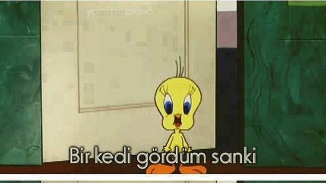 Hiç halüsinasyon gördünüz mü?