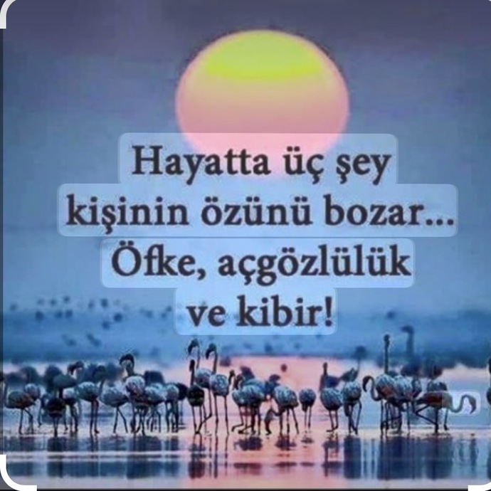 Sistem neden açgözlüleri ödüllendiriyor, paylaşımcı iyi niyetli insanları ise geri mi itiyor?