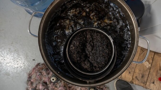Çay yapıyorum olunca sende içer misin, sanada koyum mu?