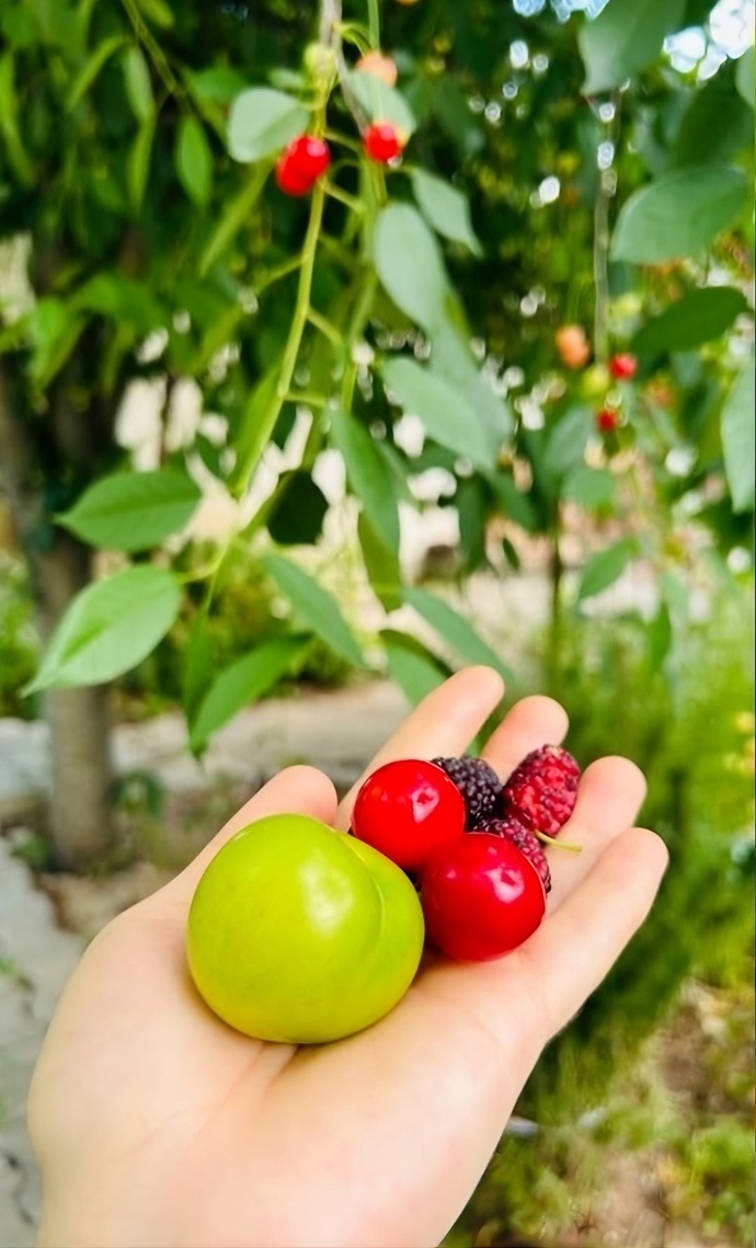 Sizce yazın geldiğini gösteren ilk şey nedir?