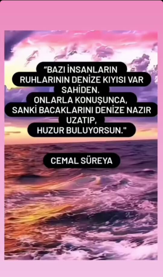 Nasipse durduramazsın değilse olduramazsın bu söz hangi burcu temsil ediyor?