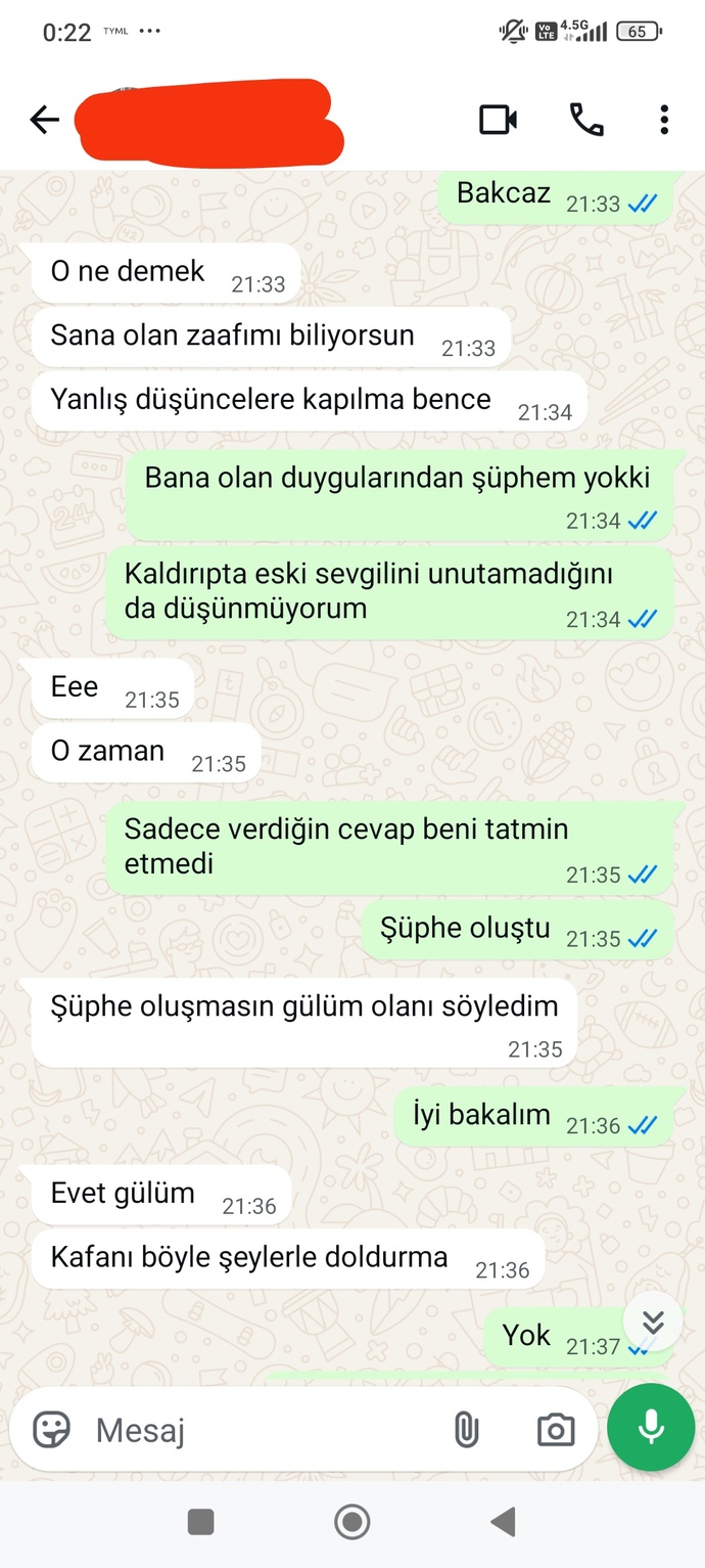 Sizce kızın sevgilisine soru sorma tarzı hesap sorar gibi mi, yoksa sakin mi?