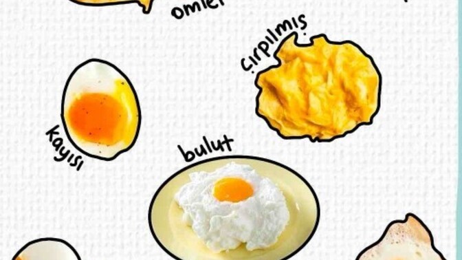 Yumurtanı seç tavsiyeni al?