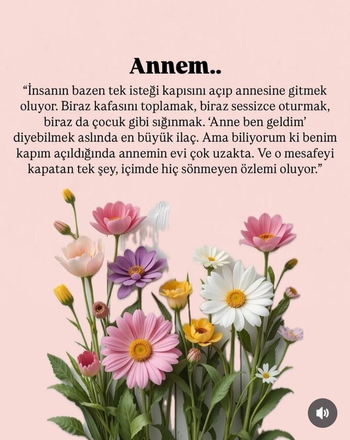 Herkese huzurlu geceler 🥰 diliyorum anneniz hayatta mı ve hayatta ise onunla aranız nasıl. ?