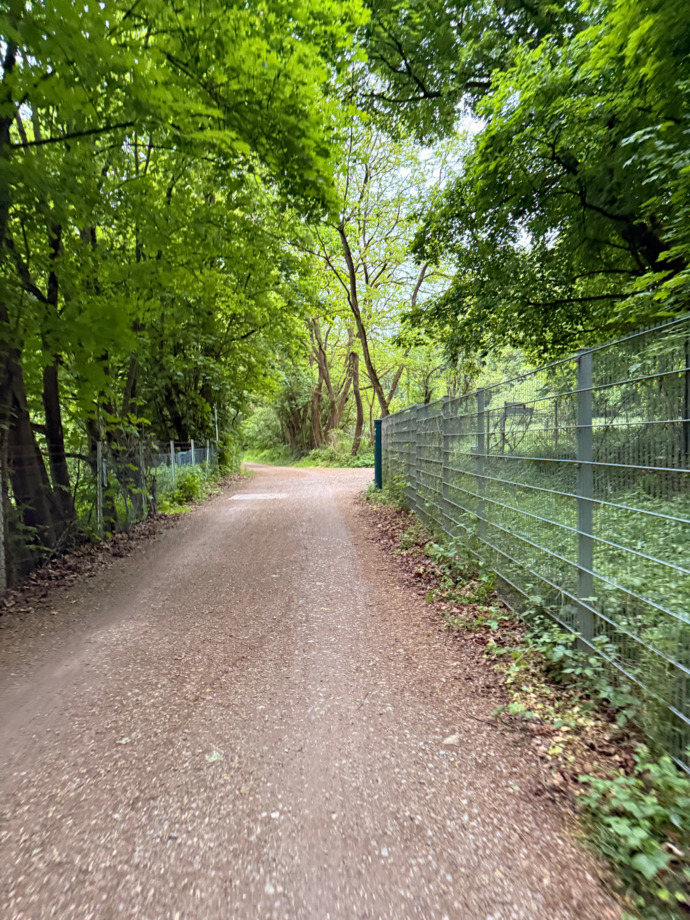 Her sabah 04.50’de 2.5 km orman yolundan bisikletle ise gitmek ister miydiniz?
