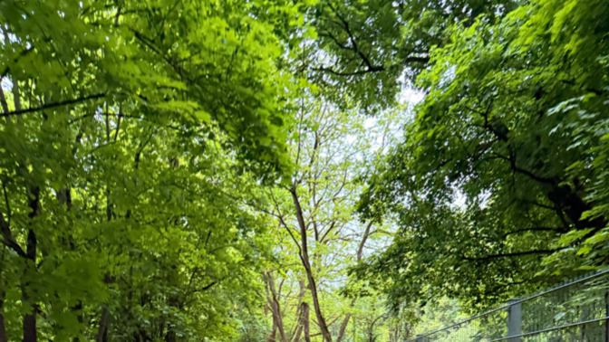 Her sabah 04.50’de 2.5 km orman yolundan bisikletle ise gitmek ister miydiniz?