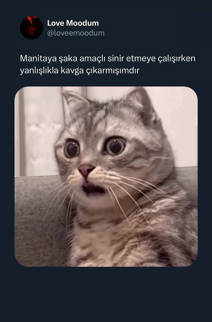 Sevgilini sinir eder misin?
