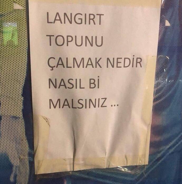 Sivrisinek mi olmak isterdin yoksa, Belediye otobüsü mü?