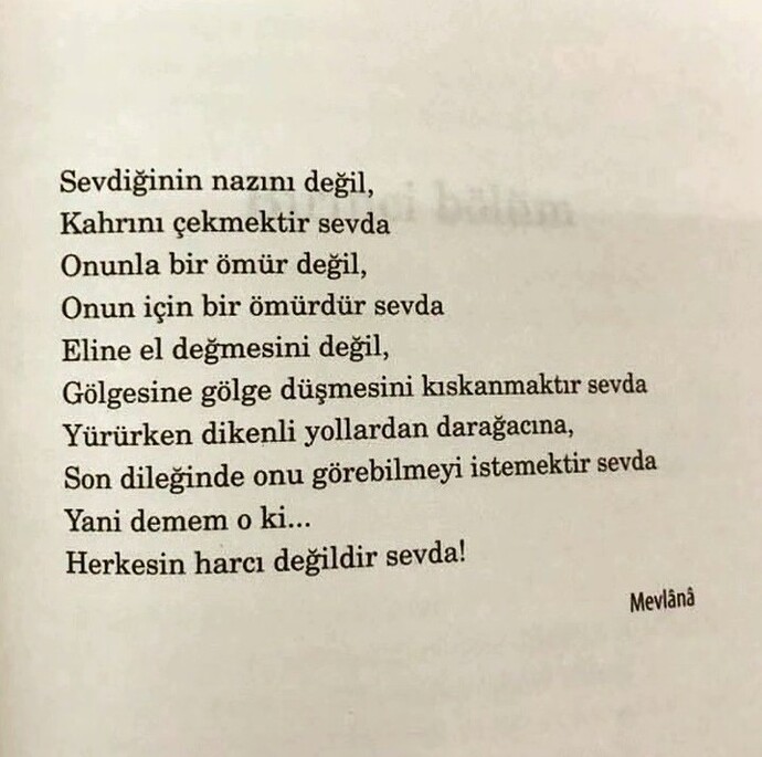 Hiç birine gerçekten sevdalandığın oldu mu?