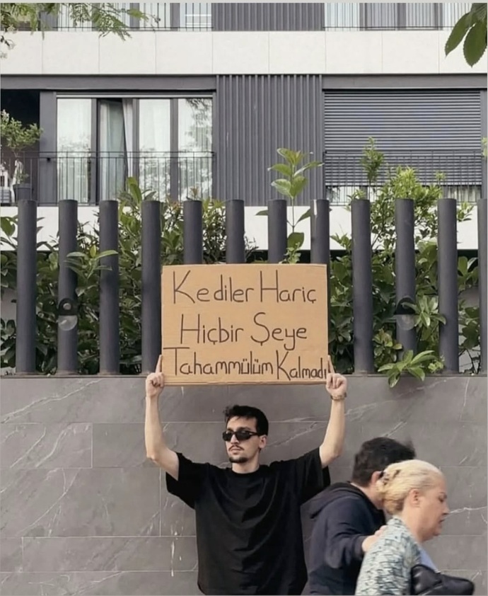 Tahammülünüz var mı?