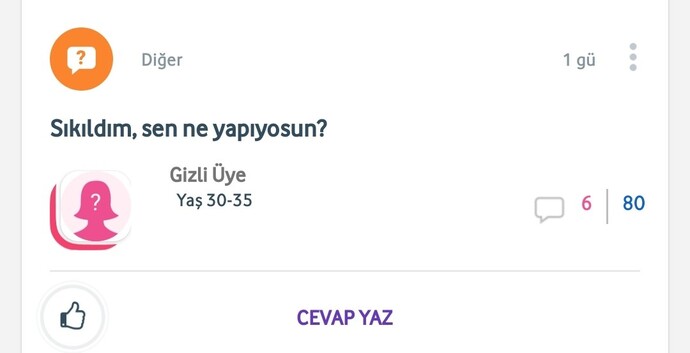 Türk erkeklerinin samimiyetine güvenin nedir?