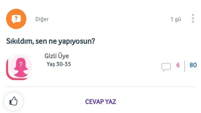 Türk erkeklerinin samimiyetine güvenin nedir?
