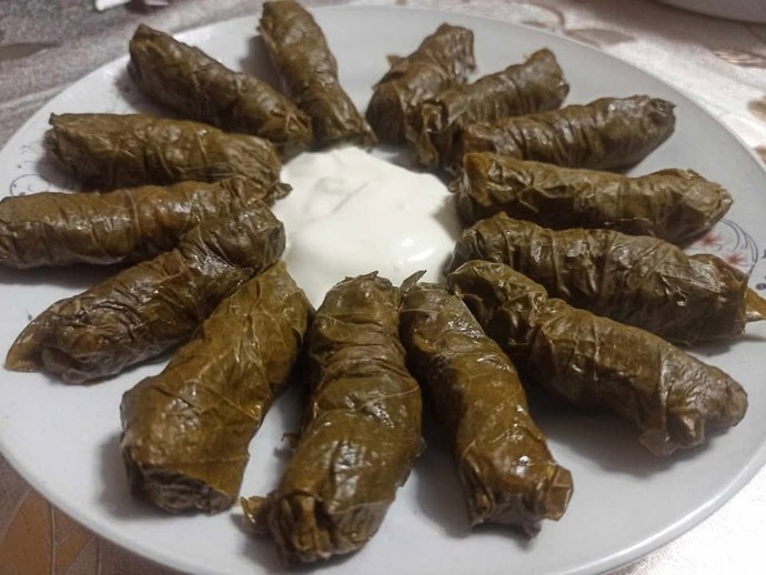 Kaynanama sarma sardım biz böyle kalın yemeğiz, sevmeyiz diye pişirmedi ben de ev de kendim pişirdim?