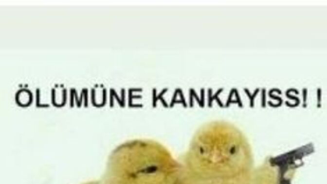 Sence seni en iyi kim tanır?